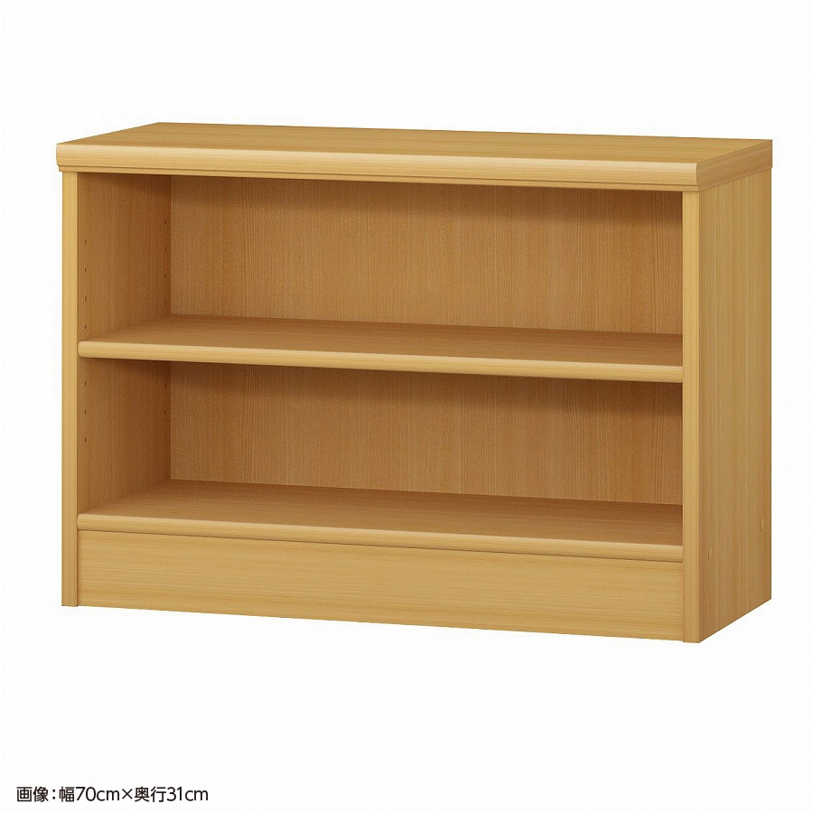 大洋 オーダーシェルフ ARオーダー5070 SR 幅700×奥行250×高さ490(mm) 1台（ご注文単位1台）【直送品】