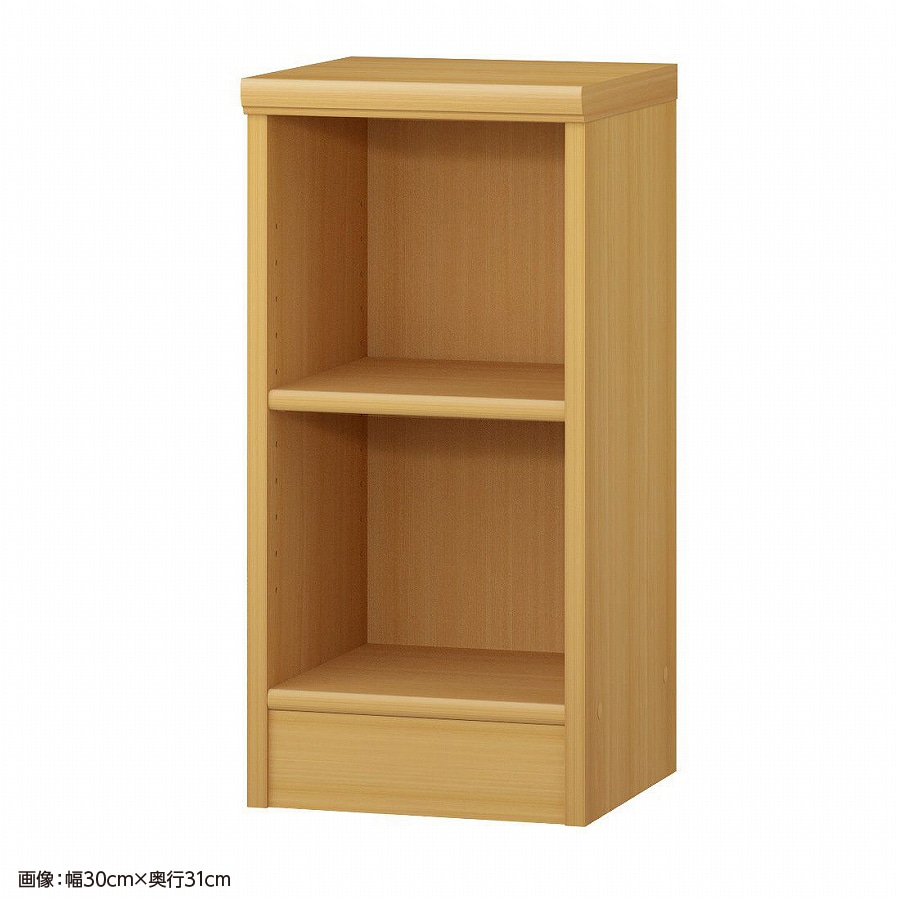 大洋 オーダーシェルフ ARオーダー6025 SR 幅250×奥行250×高さ600(mm) 1台（ご注文単位1台）【直送品】