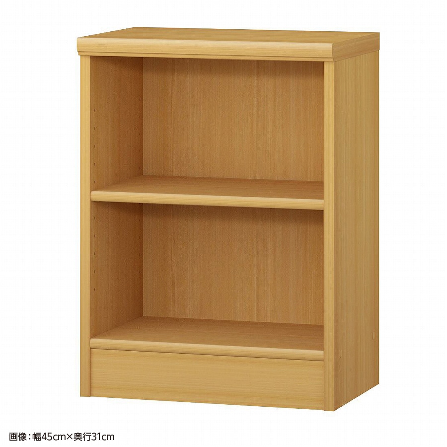 大洋 オーダーシェルフ ARオーダー6050 SR 幅500×奥行250×高さ600(mm) 1台（ご注文単位1台）【直送品】