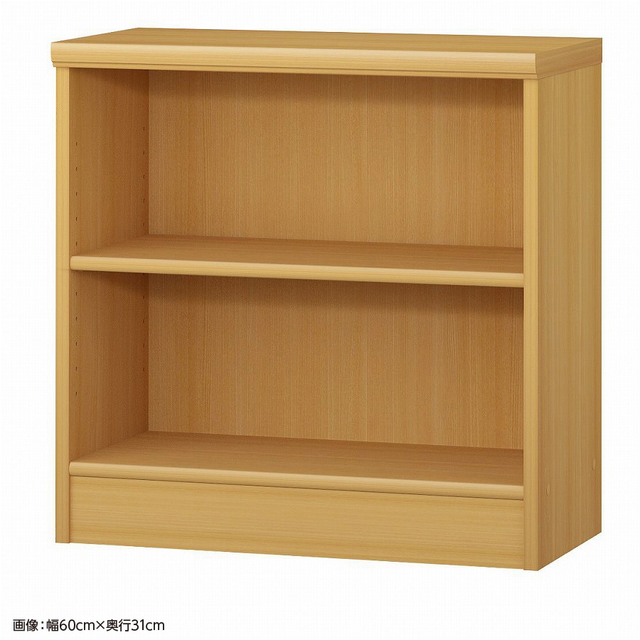 大洋 オーダーシェルフ ARオーダー6060 SR 幅600×奥行250×高さ600(mm) 1台（ご注文単位1台）【直送品】