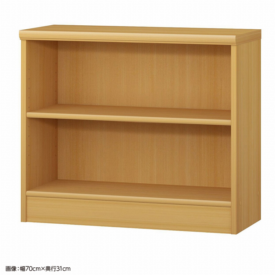 大洋 オーダーシェルフ ARオーダー6065 SR 幅650×奥行250×高さ600(mm) 1台（ご注文単位1台）【直送品】