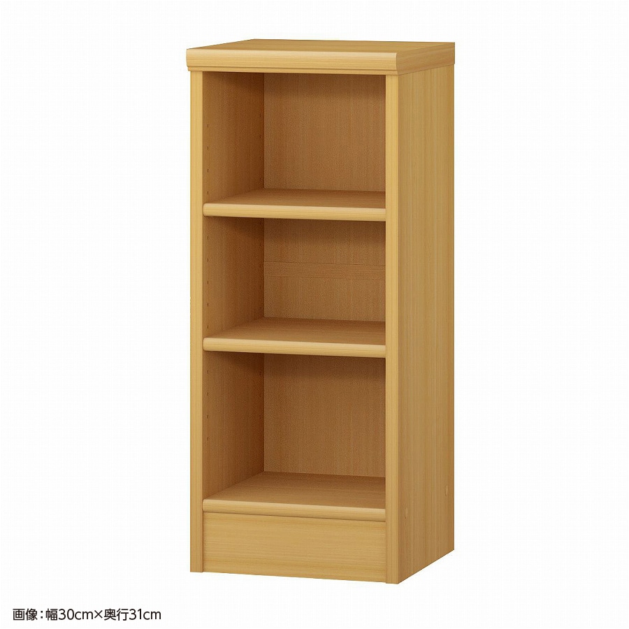 大洋 オーダーシェルフ ARオーダー7030 SR 幅300×奥行250×高さ700(mm) 1台（ご注文単位1台）【直送品】