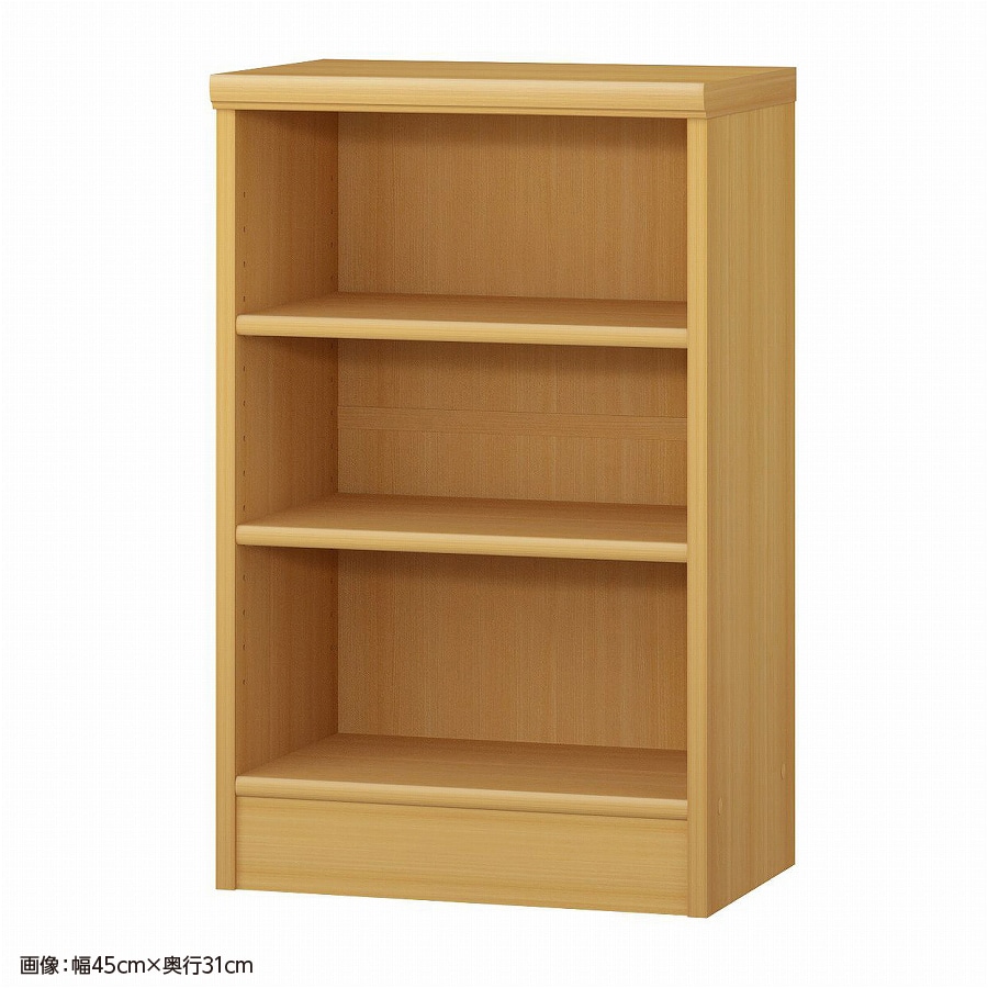 大洋 オーダーシェルフ ARオーダー7050 SR 幅500×奥行250×高さ700(mm) 1台（ご注文単位1台）【直送品】