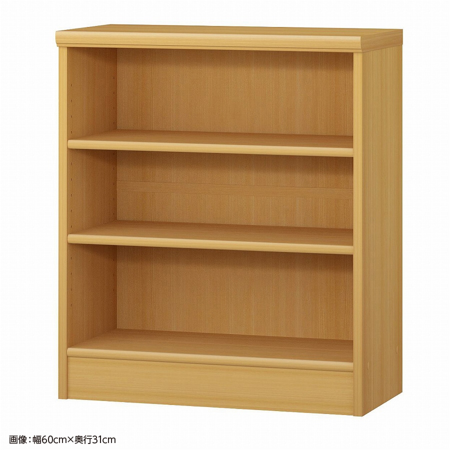 大洋 オーダーシェルフ ARオーダー7055 SR 幅550×奥行250×高さ700(mm) 1台（ご注文単位1台）【直送品】