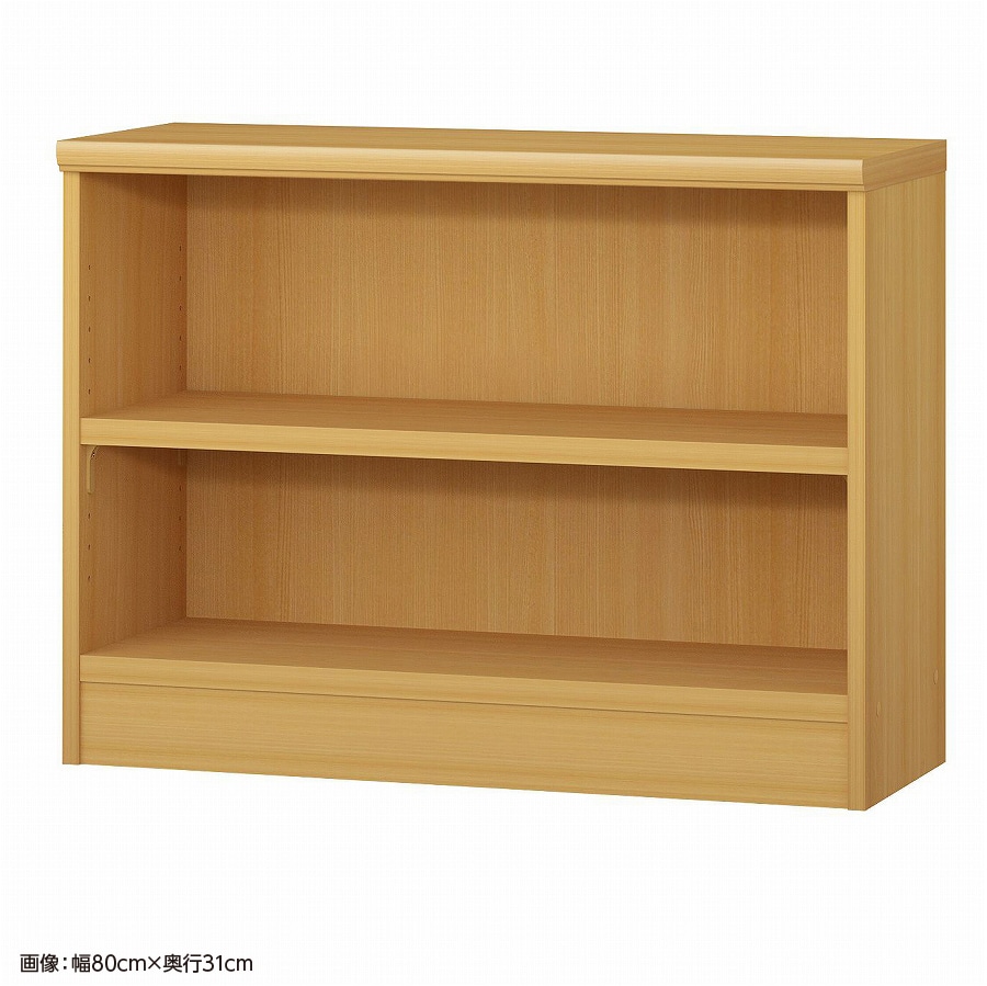 大洋 オーダーシェルフ ARオーダータフ6075 SR 幅750×奥行250×高さ600(mm) 1台（ご注文単位1台）【直送品】