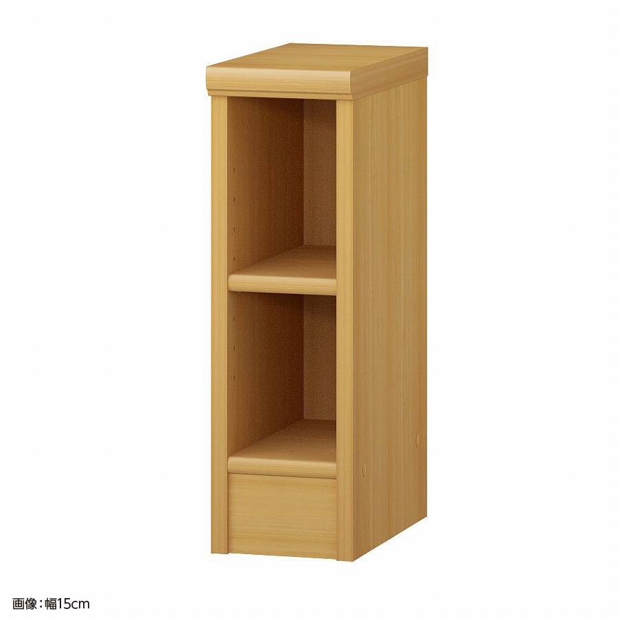 大洋 オーダーシェルフ ARオーダー5020 R 幅200×奥行310×高さ490(mm) 1台(ご注文単位1台)【直送品】