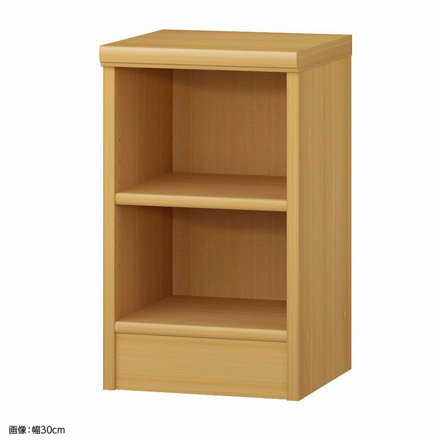 大洋 オーダーシェルフ ARオーダー5025 R 幅250×奥行310×高さ490(mm) 1台（ご注文単位1台）【直送品】