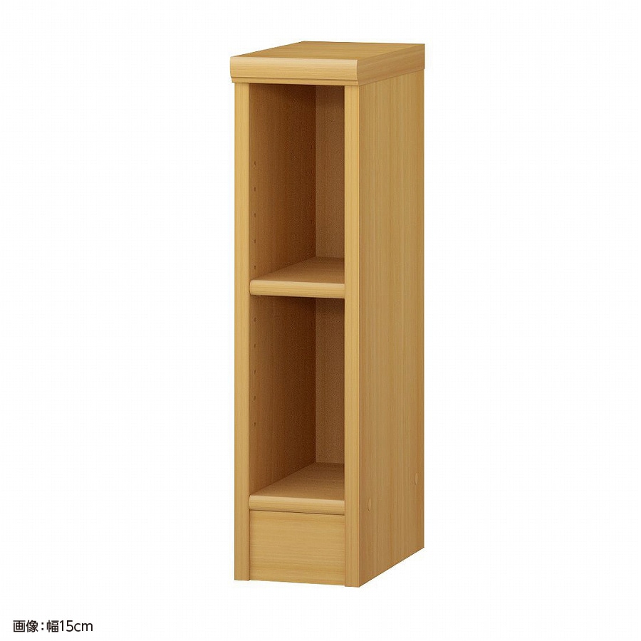 大洋 オーダーシェルフ ARオーダー6015 R 幅150×奥行310×高さ600(mm) 1台（ご注文単位1台）【直送品】