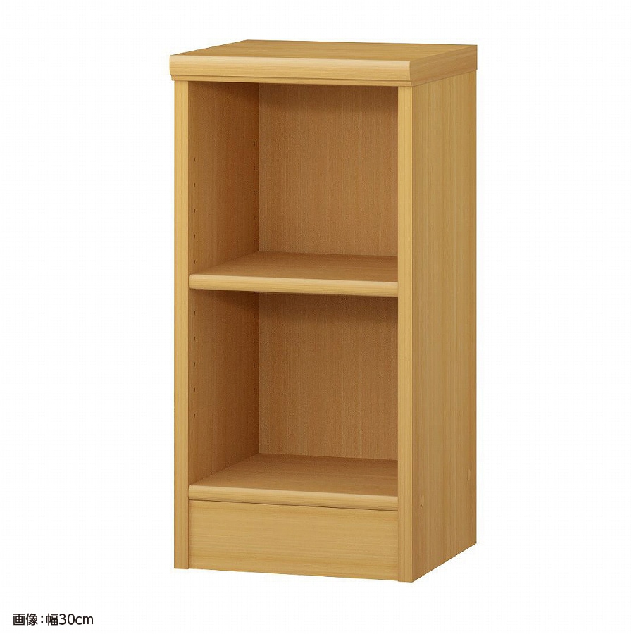 大洋 オーダーシェルフ ARオーダー6025 R 幅250×奥行310×高さ600(mm) 1台（ご注文単位1台）【直送品】