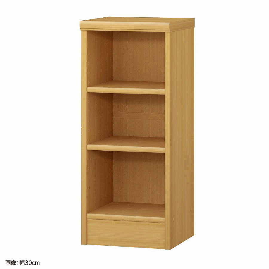 大洋 オーダーシェルフ ARオーダー7025 R 幅250×奥行310×高さ700(mm) 1台（ご注文単位1台）【直送品】