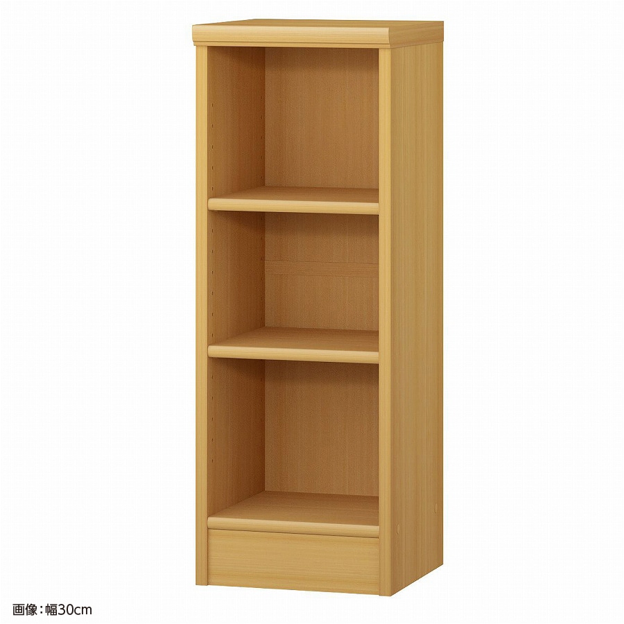 大洋 オーダーシェルフ ARオーダー8025 R 幅250×奥行310×高さ800(mm) 1台(ご注文単位1台)【直送品】