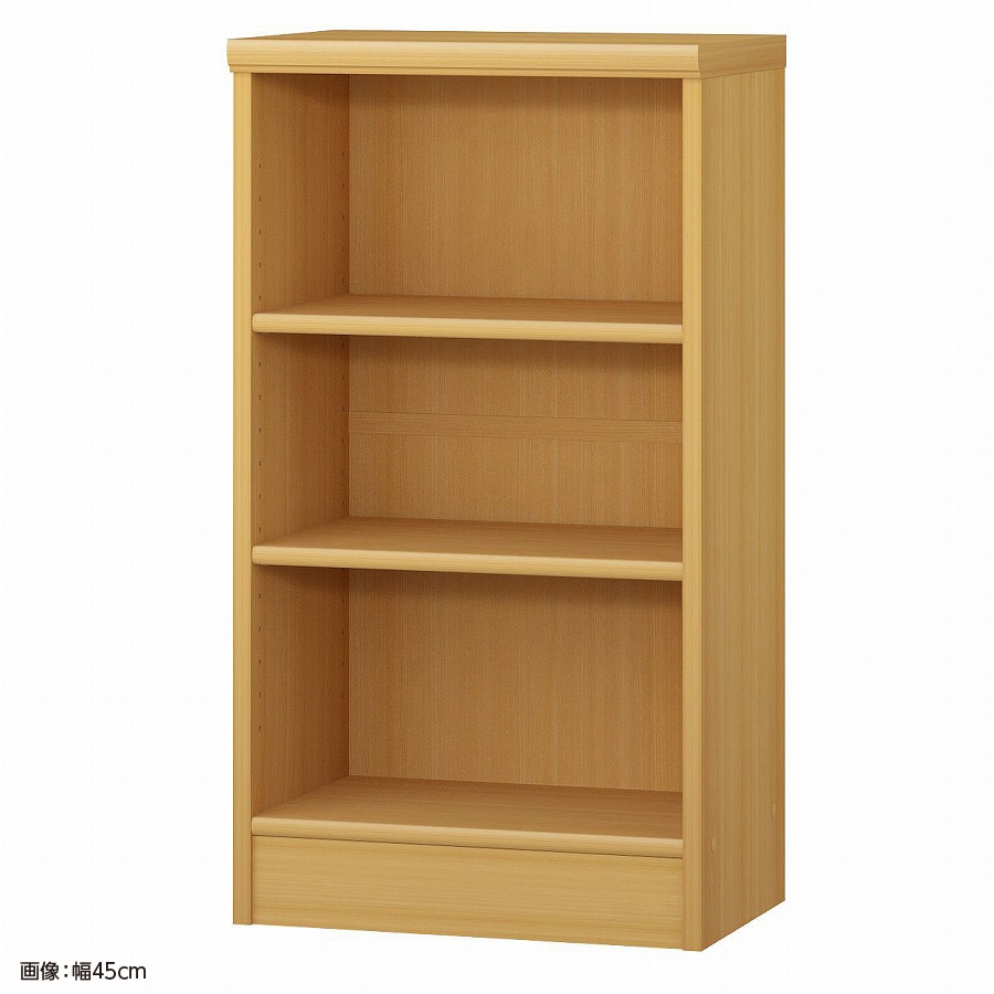 大洋 オーダーシェルフ ARオーダー8050 R 幅500×奥行310×高さ800(mm) 1台（ご注文単位1台）【直送品】