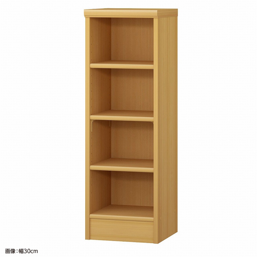 >大洋 オーダーシェルフ ARオーダー9025 R 幅250×奥行310×高さ881(mm) 1台(ご注文単位1台)【直送品】