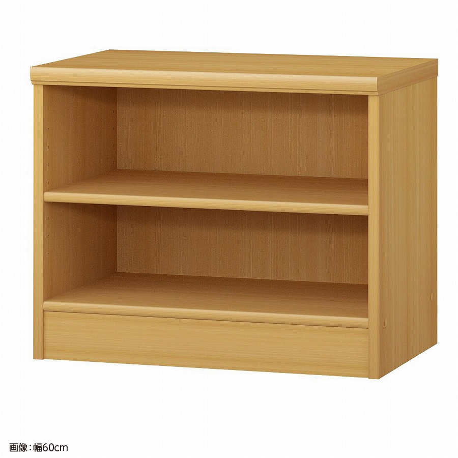 大洋 オーダーシェルフ ARオーダー5060 MD 幅600×奥行400×高さ490(mm) 1台（ご注文単位1台）【直送品】