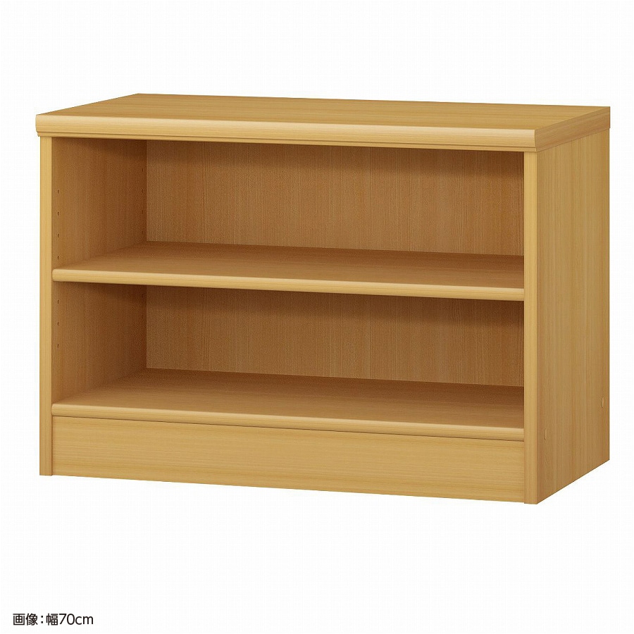 大洋 オーダーシェルフ ARオーダー5065 MD 幅650×奥行400×高さ490(mm) 1台（ご注文単位1台）【直送品】