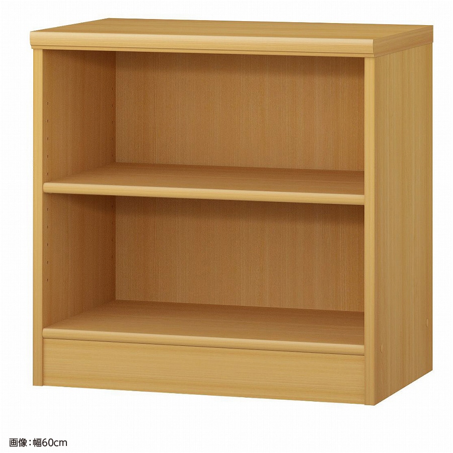 大洋 オーダーシェルフ ARオーダー6055 MD 幅550×奥行400×高さ600(mm) 1台(ご注文単位1台)【直送品】