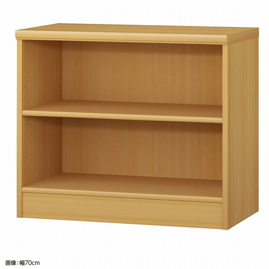 大洋 オーダーシェルフ ARオーダー6065 MD 幅650×奥行400×高さ600(mm) 1台(ご注文単位1台)【直送品】