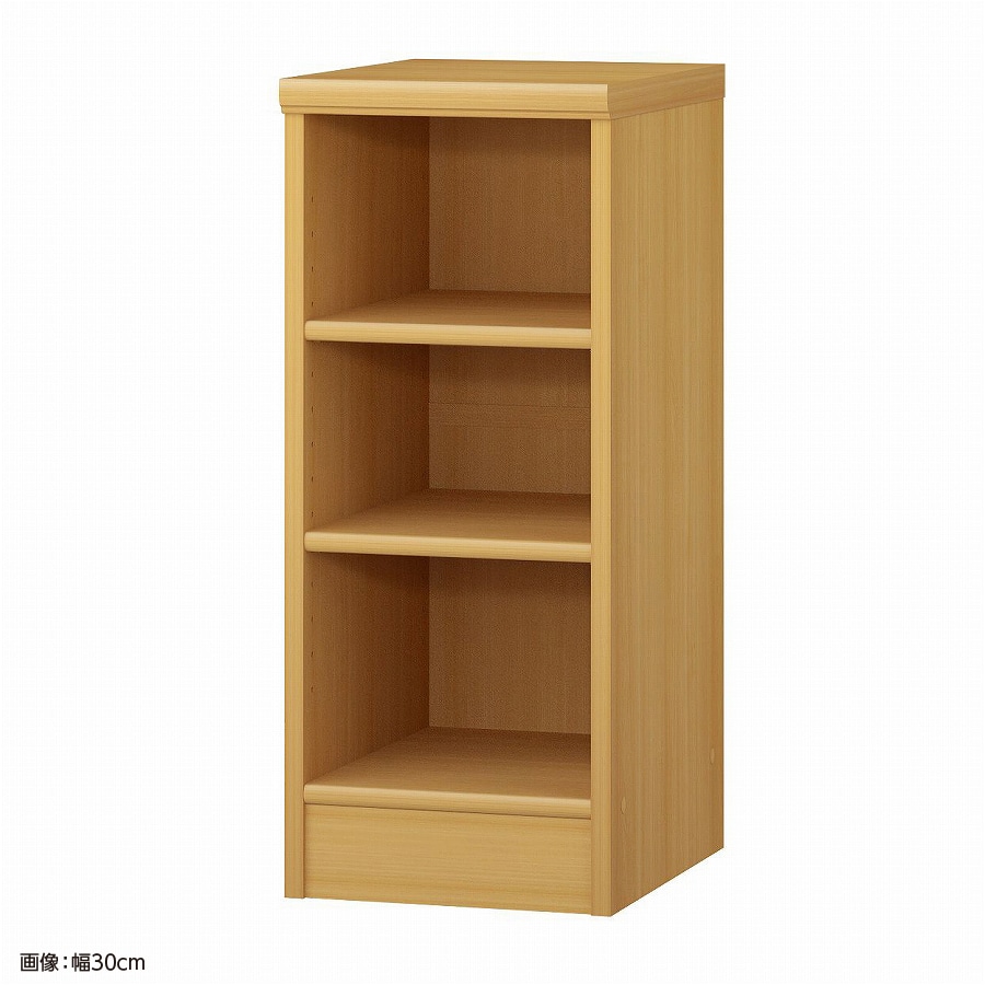 大洋 オーダーシェルフ ARオーダー7025 MD 幅250×奥行400×高さ700(mm) 1台（ご注文単位1台）【直送品】