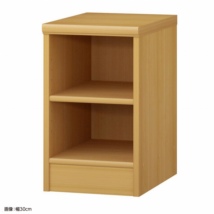 大洋 オーダーシェルフ ARオーダー5025 D 幅250×奥行460×高さ490(mm) 1台（ご注文単位1台）【直送品】