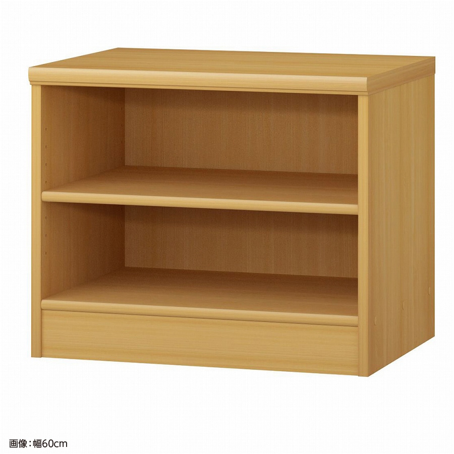 大洋 オーダーシェルフ ARオーダー5060 D 幅600×奥行460×高さ490(mm) 1台（ご注文単位1台）【直送品】