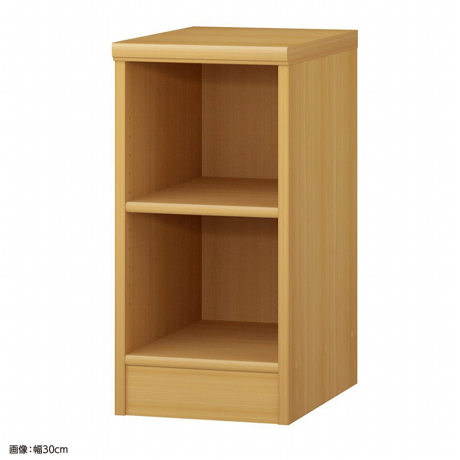 大洋 オーダーシェルフ ARオーダー6030 D 幅300×奥行460×高さ600(mm) 1台（ご注文単位1台）【直送品】