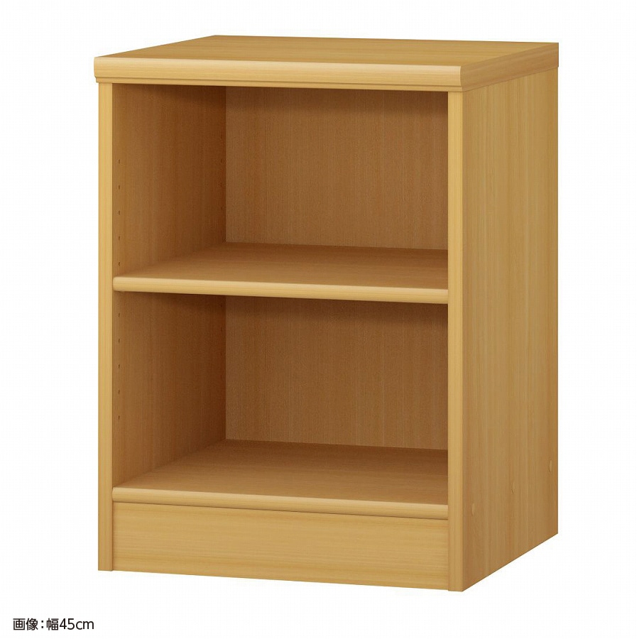 大洋 オーダーシェルフ ARオーダー6050 D 幅500×奥行460×高さ600(mm) 1台（ご注文単位1台）【直送品】