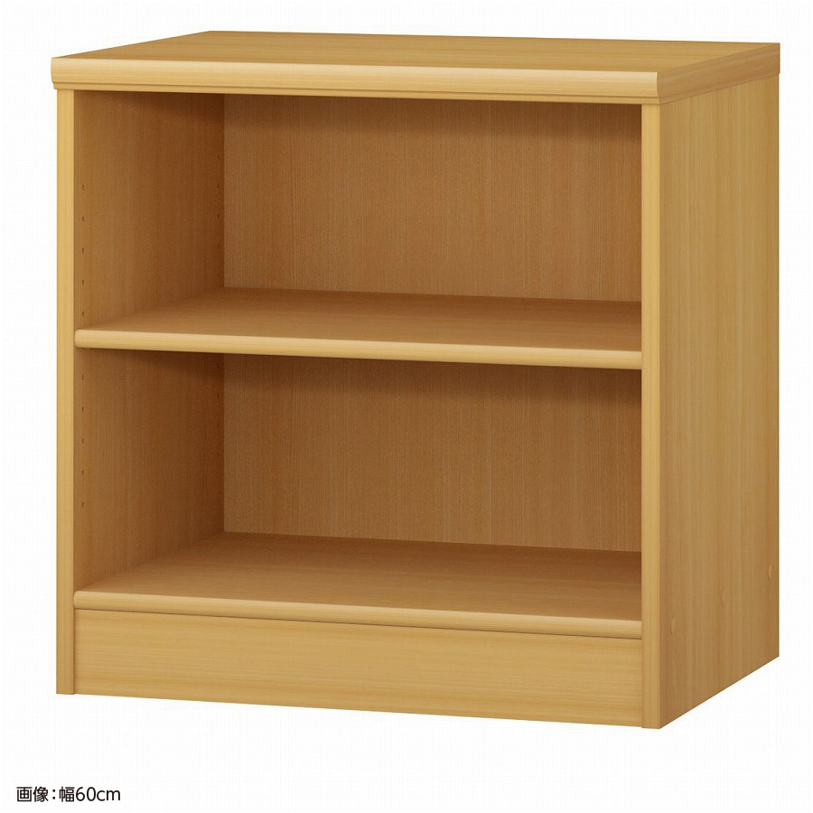 大洋 オーダーシェルフ ARオーダー6060 D 幅600×奥行460×高さ600(mm) 1台（ご注文単位1台）【直送品】
