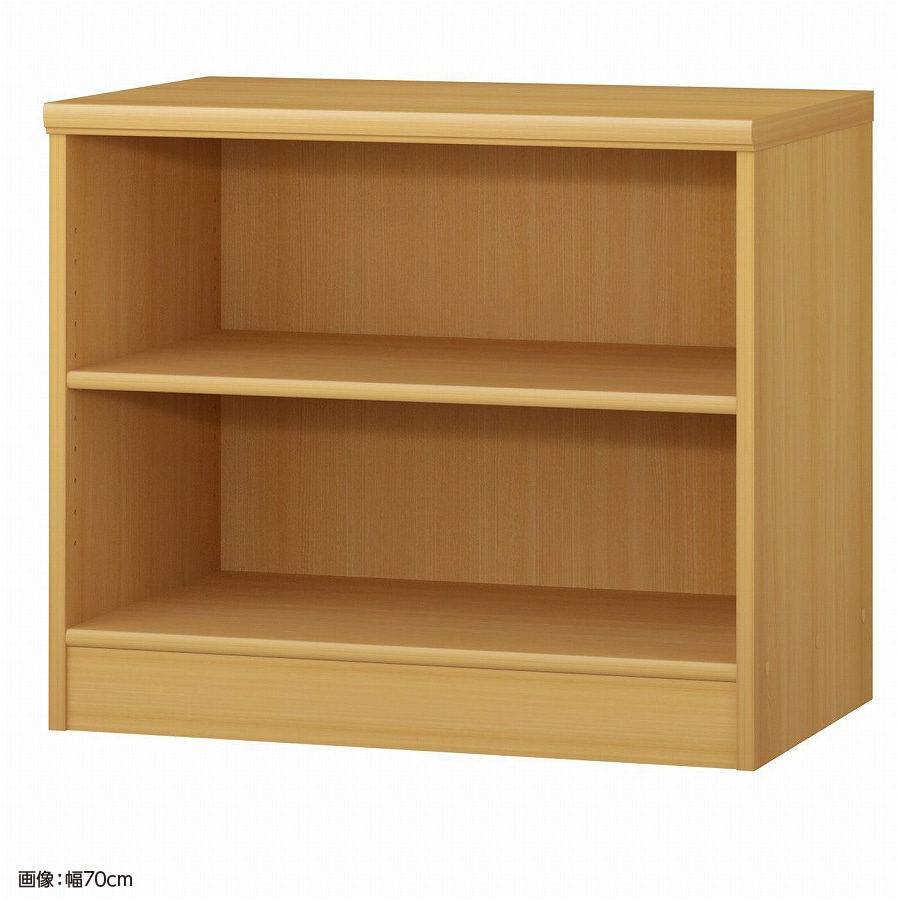 大洋 オーダーシェルフ ARオーダー6065 D 幅650×奥行460×高さ600(mm) 1台（ご注文単位1台）【直送品】