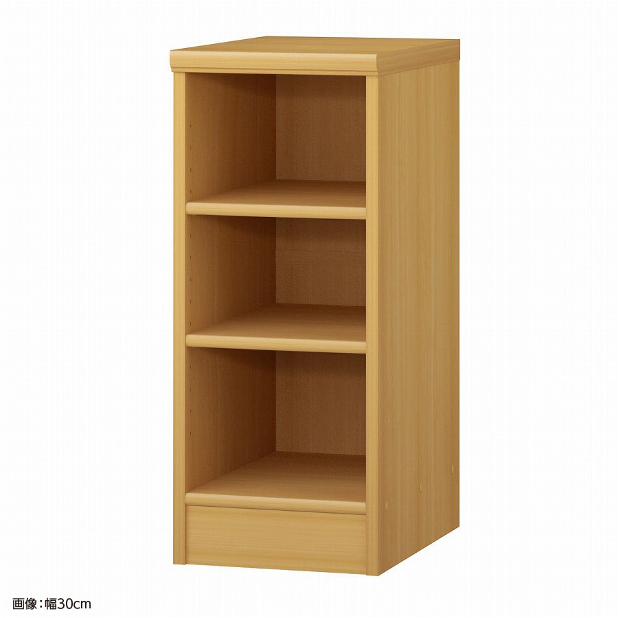 大洋 オーダーシェルフ ARオーダー7030 D 幅300×奥行460×高さ700(mm) 1台（ご注文単位1台）【直送品】