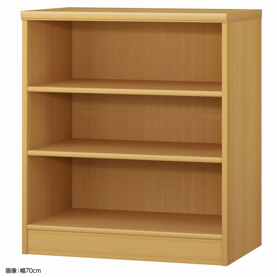 大洋 オーダーシェルフ ARオーダー8065 D 幅650×奥行460×高さ800(mm) 1台（ご注文単位1台）【直送品】