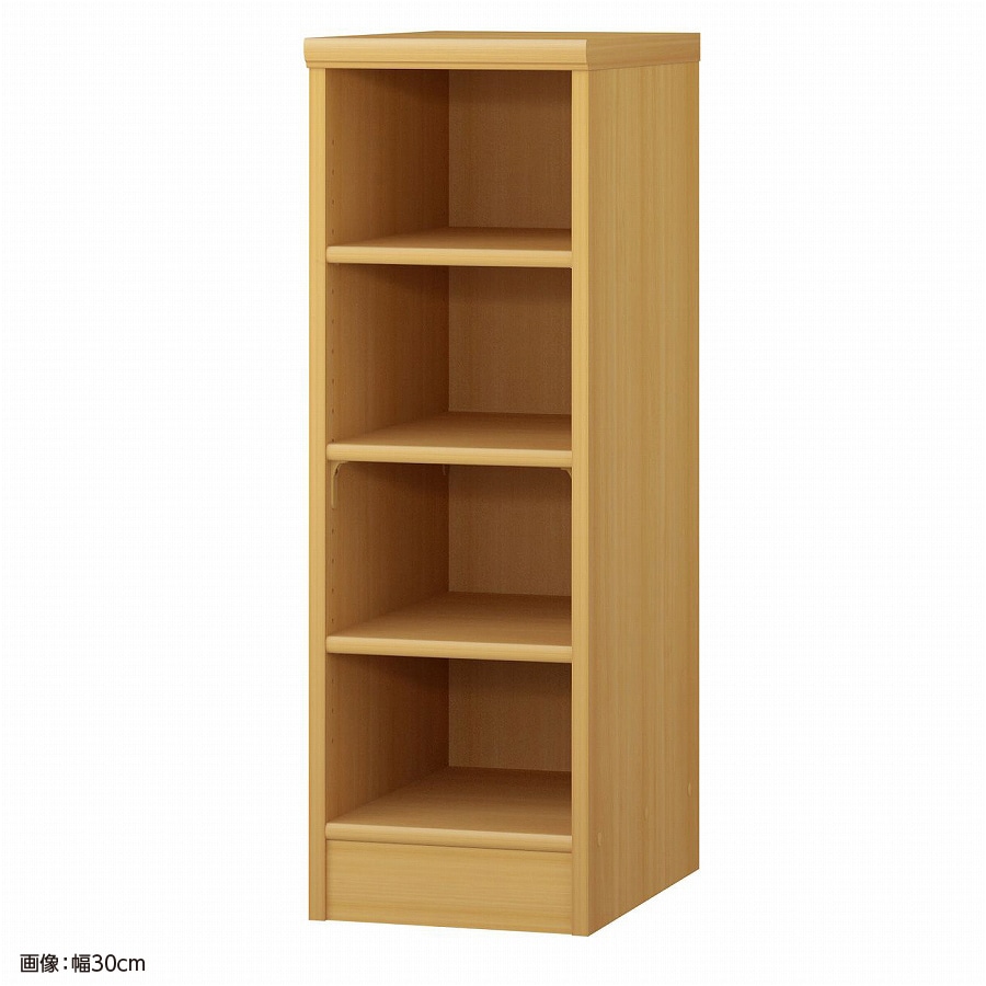 大洋 オーダーシェルフ ARオーダー9025 D 幅250×奥行460×高さ881(mm) 1台（ご注文単位1台）【直送品】