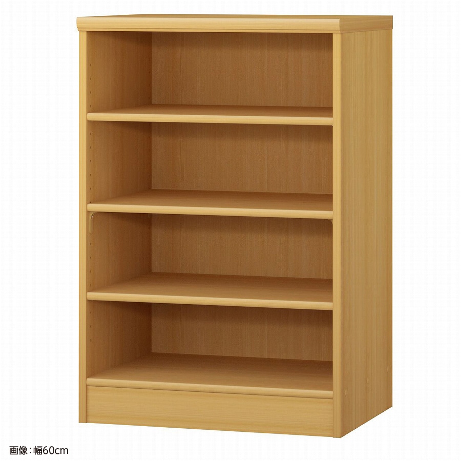 大洋 オーダーシェルフ ARオーダー9055 D 幅550×奥行460×高さ881(mm) 1台（ご注文単位1台）【直送品】