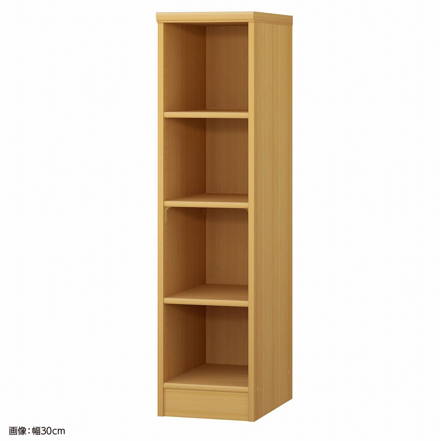 大洋 オーダーシェルフ ARオーダー1230 D 幅300×奥行460×高さ1170(mm) 1台（ご注文単位1台）【直送品】