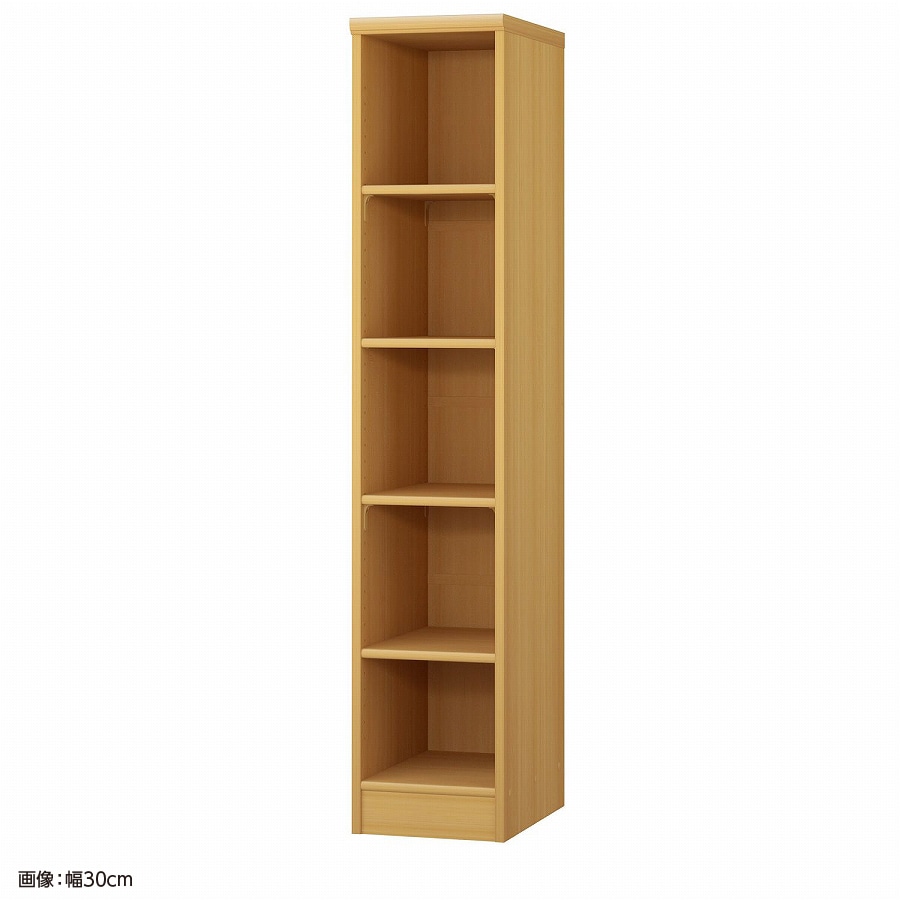 大洋 オーダーシェルフ ARオーダー1530 D 幅300×奥行460×高さ1499(mm) 1台（ご注文単位1台）【直送品】