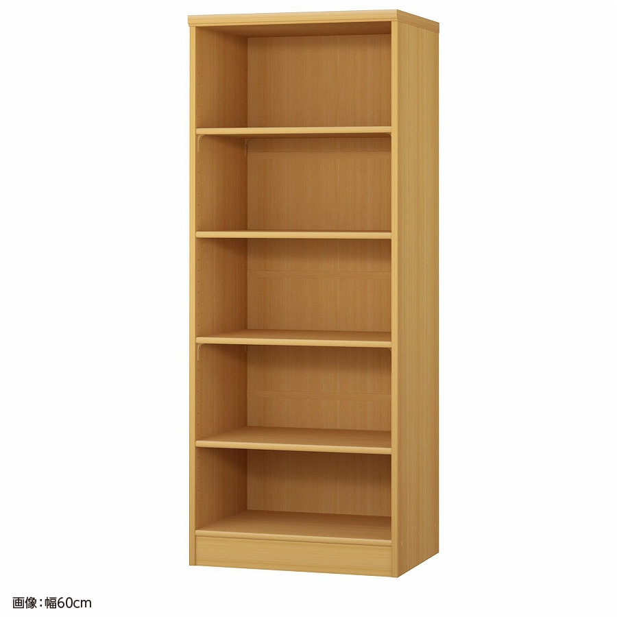 大洋 オーダーシェルフ ARオーダー1560 D 幅600×奥行460×高さ1499(mm) 1台（ご注文単位1台）【直送品】