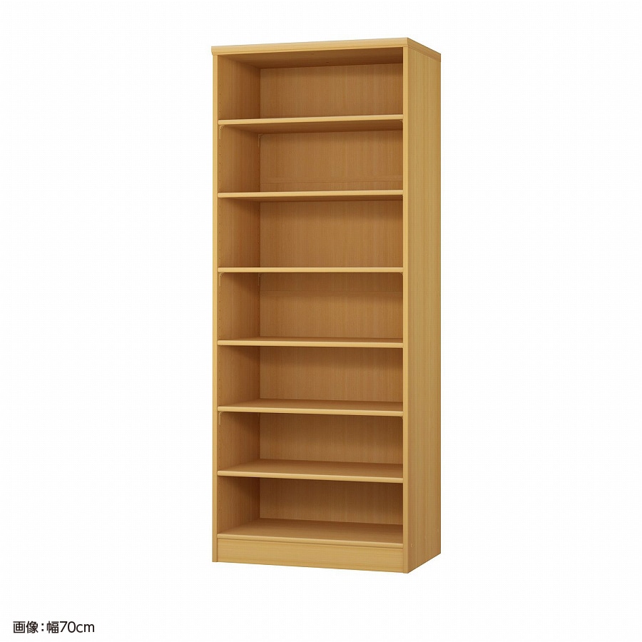 大洋 オーダーシェルフ ARオーダー1865 D 幅650×奥行460×高さ1780(mm) 1台(ご注文単位1台)【直送品】