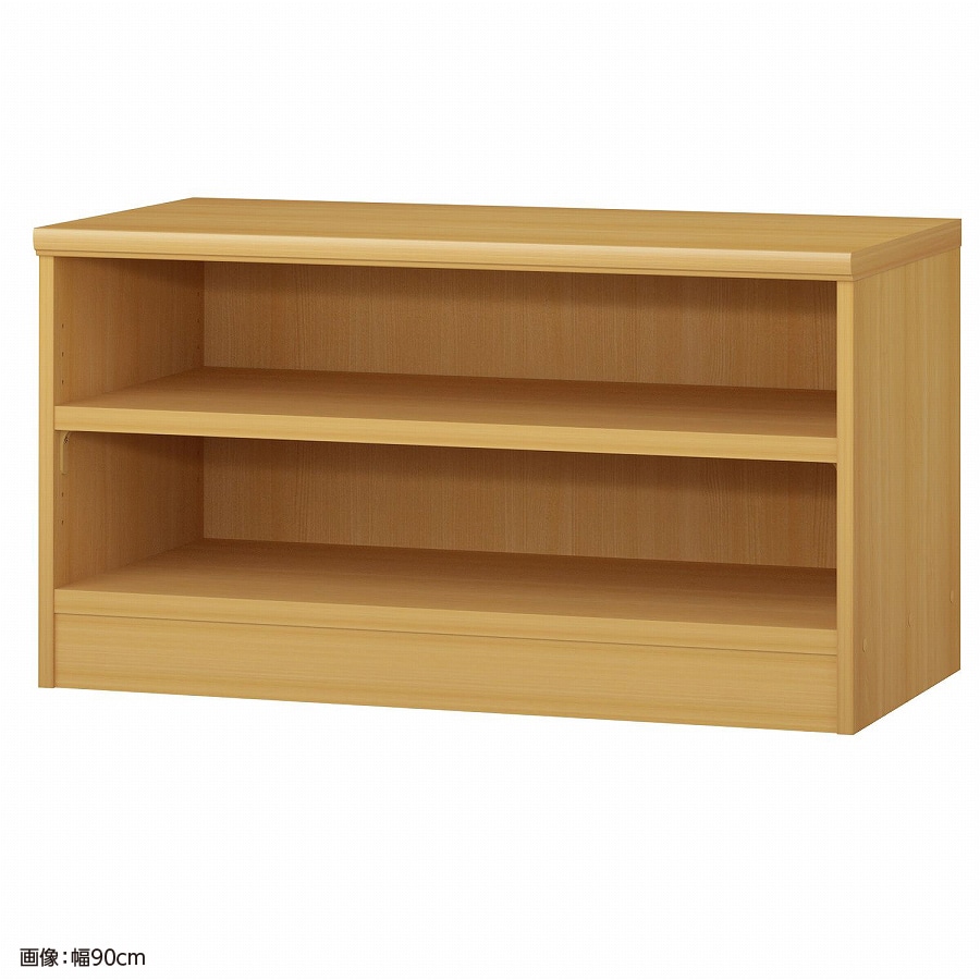 大洋 オーダーシェルフ ARオーダータフ5090 D 幅900×奥行460×高さ490(mm) 1台（ご注文単位1台）【直送品】