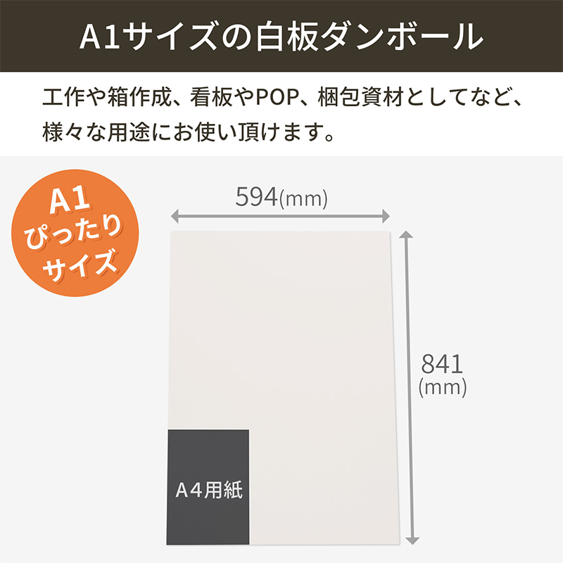 板ダンボール 片面白 A1 841×594mm 10枚入 1セット（ご注文単位1セット）【直送品】