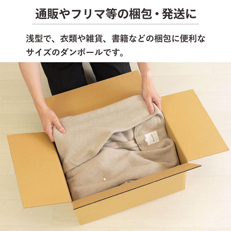 100サイズダンボール 5枚入 44×34×19cm 1セット（ご注文単位1セット）【直送品】