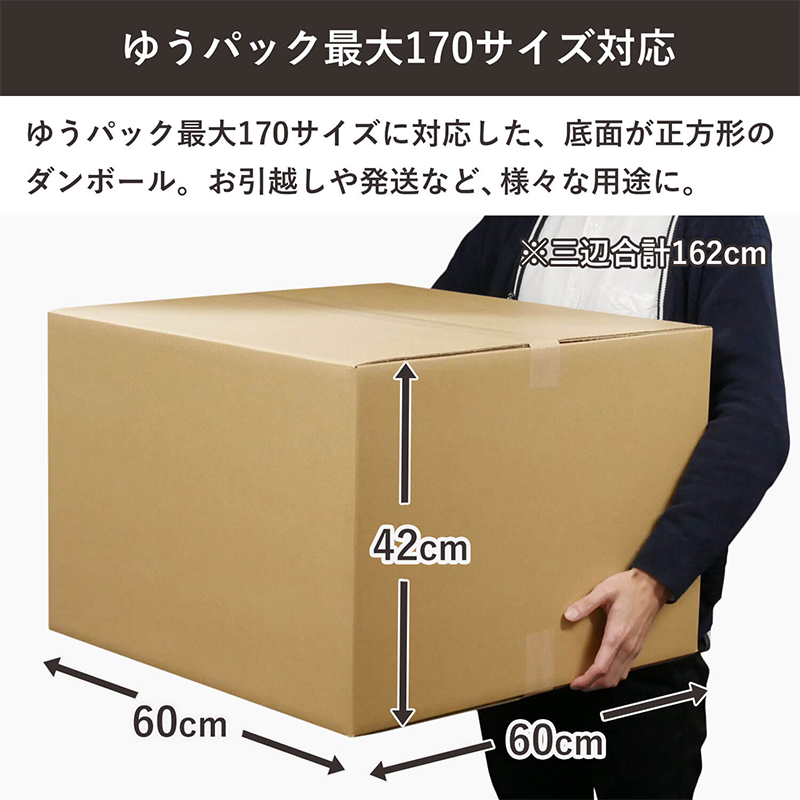 170サイズダンボール 5枚入 60×60×42cm 1セット（ご注文単位1セット）【直送品】