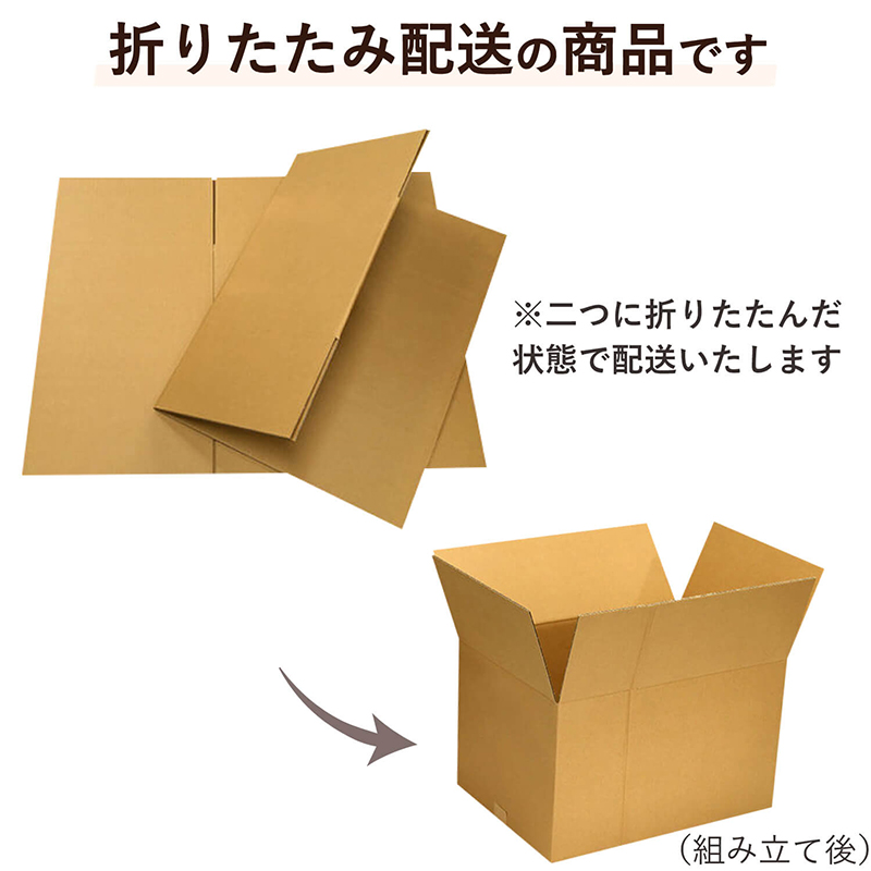 160サイズダンボール 5枚入 58×48×46cm 1セット（ご注文単位1セット）【直送品】