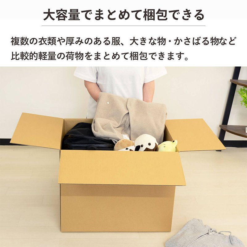 160サイズダンボール 5枚入 58×48×46cm 1セット（ご注文単位1セット）【直送品】