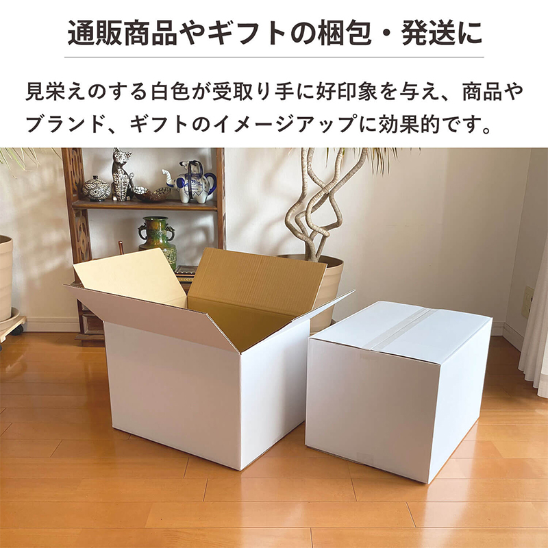 120サイズ白ダンボール 5枚入 46×35.5×32cm 1セット(ご注文単位1セット)【直送品】