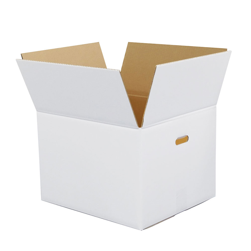 100サイズ白ダンボール 手穴 10枚 37×34×28cm 1セット（ご注文単位1セット）【直送品】