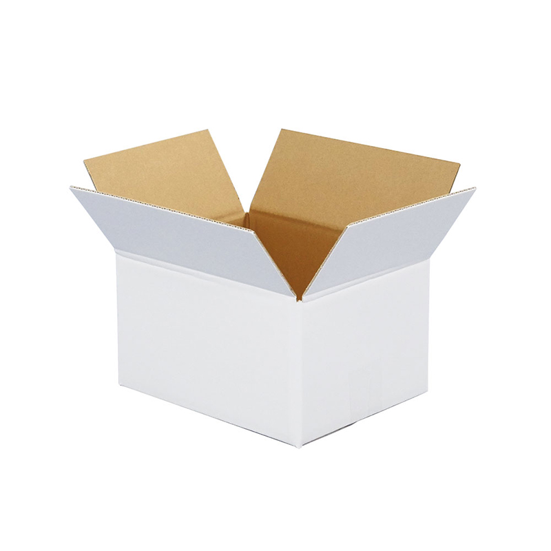 60サイズ白ダンボール 50枚入 24×19×14cm 1セット（ご注文単位1セット）【直送品】