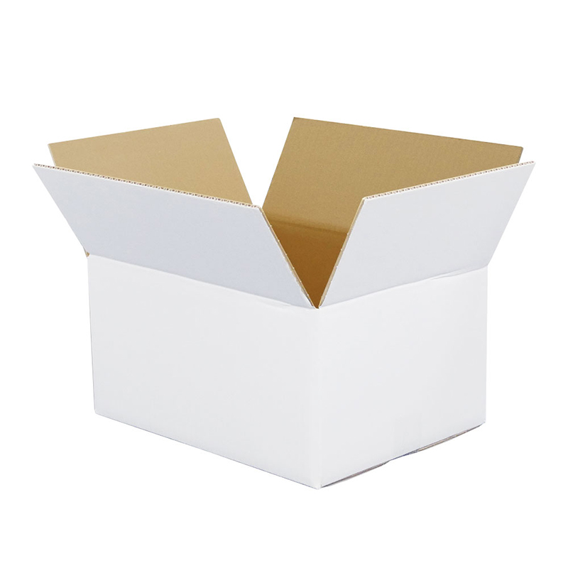 100サイズ白ダンボール 5枚入 39×28.5×20cm 1セット（ご注文単位1セット）【直送品】