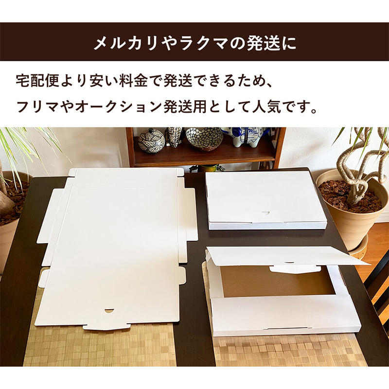 メール便用ダンボール 白 310×227×23mm 50枚 1セット(ご注文単位1セット)【直送品】