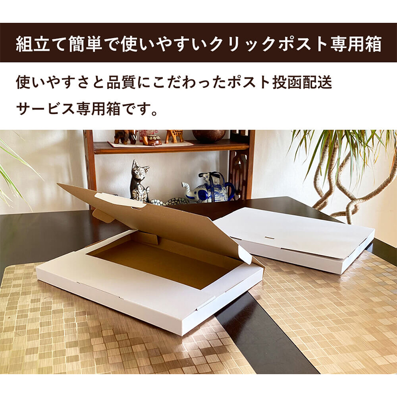 メール便用ダンボール 白 310×227×23mm 100枚 1セット（ご注文単位1セット）【直送品】