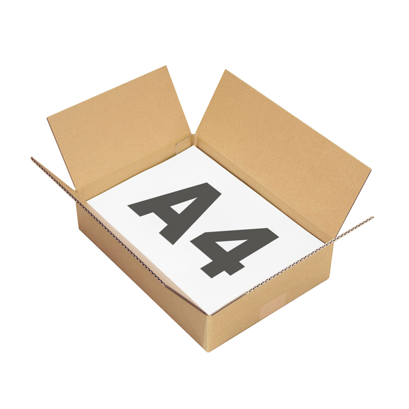 底面A4 60サイズ ダンボール 20枚入 30.6×21.6×7.6cm 1セット（ご注文単位1セット）【直送品】