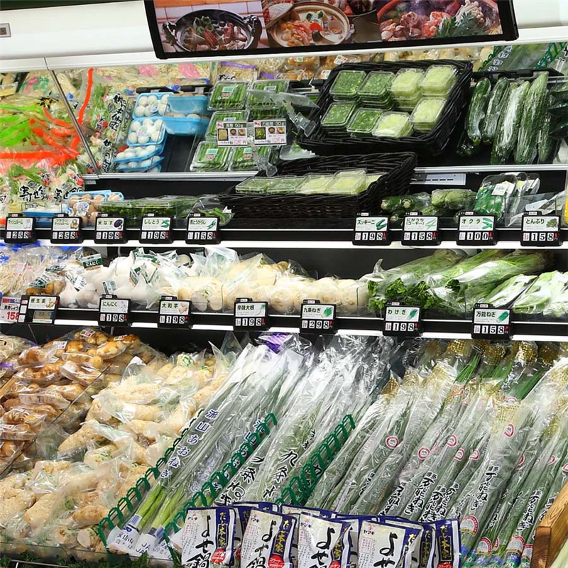 デジプラ ネオ ブラック 1個(ご注文単位1個)【直送品】